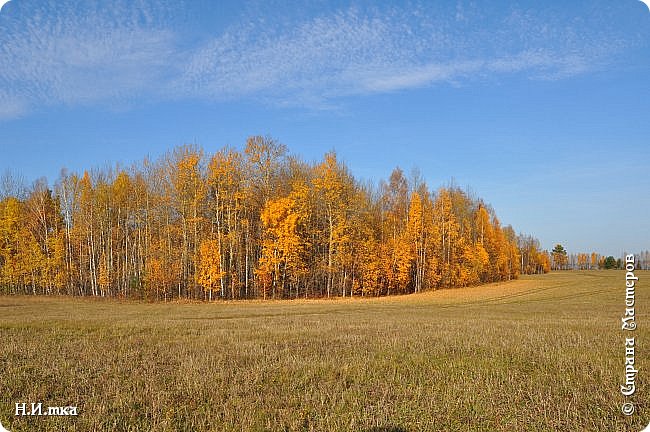 Очарование осеннего леса (фото 21)