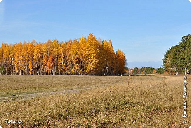 Довольные и воодушевлённые возвращаемся домой. (фото 31)