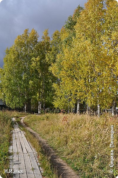 Однако не только людей переполняют чувства. Деревья тоже по-своему реагируют на осень. Они сбрасывают пожелтевшие листочки, давая всем понять, что они готовы к зиме. Трава желтеет... и кажется, вся  зелёная жизнь прячется в темницу до поры до времени... Прогуляемся знакомой тропинкой к Туману. (фото 3)