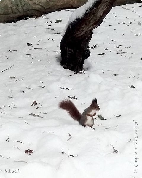 Узорный лесок и разности... (фото 43)