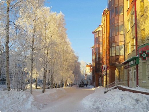 В Архангельск пришла зима... (Фотографии из свободного доступа в Интернете) (фото 11)