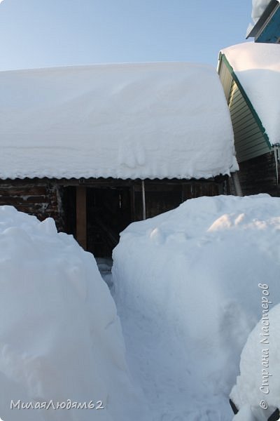 а это была летняя резиденция Проши. Его больше с нами нет.... (фото 44)