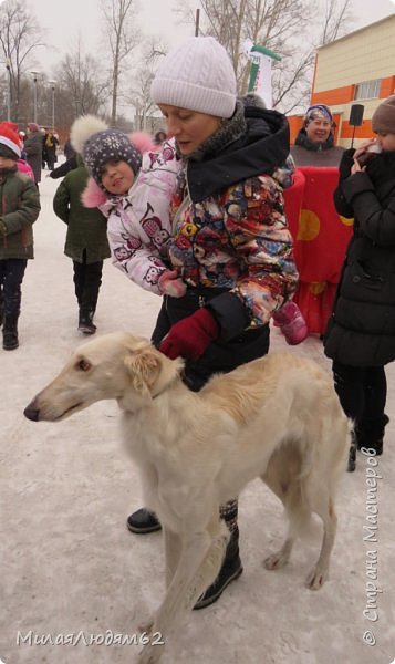 мне пказалось, что ей было холодно и она замерзла. Вообще была потеряна, что она тут делает? Плотная толпа народу, шум-гам, музыка. (фото 52)