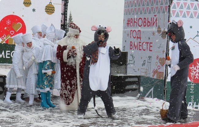 здесь помню мать мышь пыталась своего сына мыша пристроить. (фото 56)