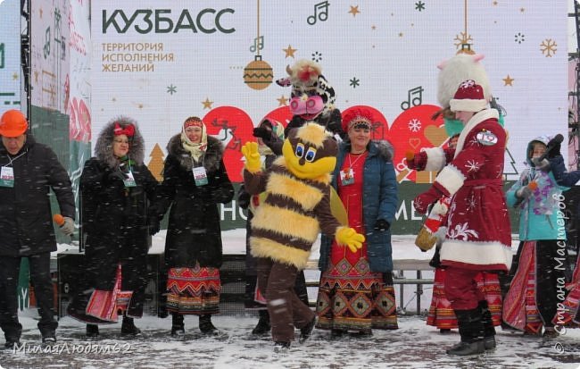 Район у нас со множеством пасек, и на гербе района пчелы нарисованы, поэтому у нас такая зимняя пчела выведена нынче. Ее тоже наш ДК шил, параллельно со Снеговеем. (фото 73)