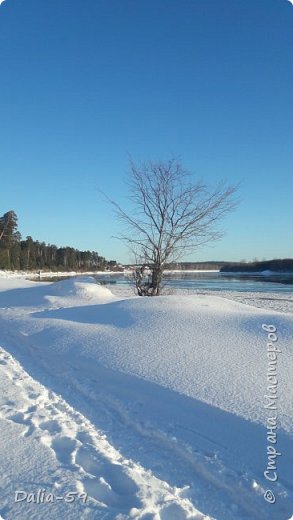 Саночки для мышек. (фото 8)