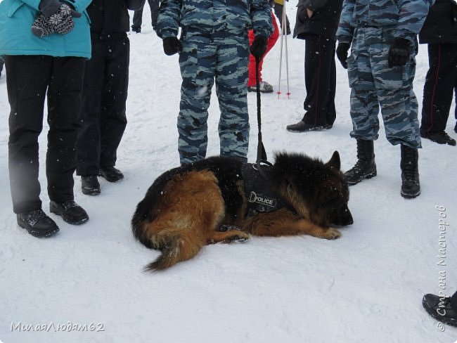 полиция с охраной (фото 36)