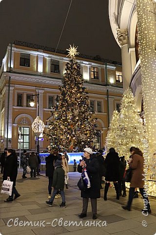 А еще вдоль всего здания стоят такие вот нарядные белые елочки.  В отсутствие снега, выглядят еще более актуально и нарядно, чем обычные зеленые)) (фото 2)