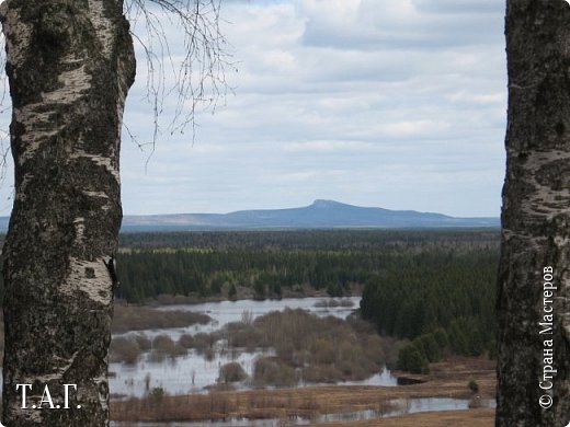 Чистый родник (фото 20)