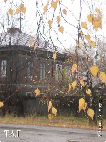                         Осенний лист

С ветки прочь сорвавшись, я хотел
Одолеть земное притяжение,
Чтобы долго-долго мир смотрел
На мое свободное кружение.
Краток был блистательный обман -
Вальса мимолетная иллюзия.
Маленькою звездочкой в туман,
В дождевую россыпь окунулся я.
И отсюда с мокрых щек земли,
Я смотрел, как в вечном расставании
Облака - большие корабли -
Держат путь в небесной Океании.
 (фото 25)