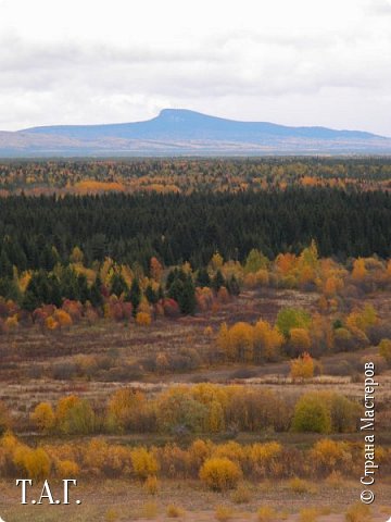 Чистый родник (фото 26)