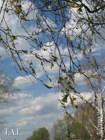                Музыка весны

Поет весенняя капель,
Роняя солнечные слезы, 
Как будто флейты нежной трель
Коснулась заспанной березы.

Разбилась вдребезги тоска.
А может вовсе не разбилась,-
Взлетела в высь, под облака
И в птичью стаю превратилась.

Как снег, былые тают сны.
И смех ручья, и эти лужи
Чудесной музыкой весны
Наполнят трепетные души. (фото 21)