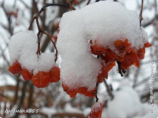 Но пока еще много снега.  (фото 19)