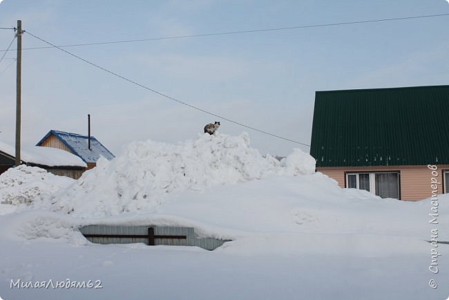 Утром собиралась на работу и в окно увидела (фото 90)