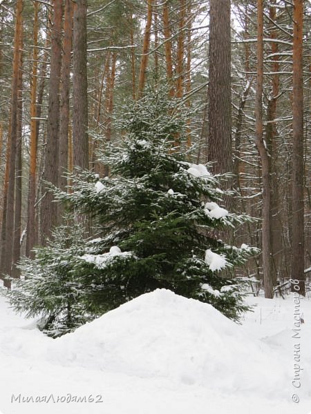 Областная Масленица. Фейерверк красок! (фото 12)