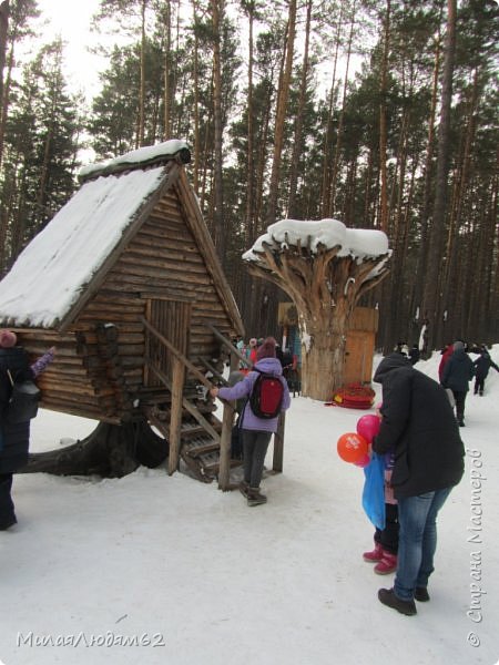 и вот такое дерево интересное за избушкой, вернее остатки от дерева. (фото 43)