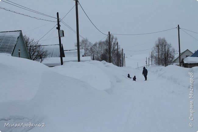 Вот так мы гуляли, опять мело. Но дома то не сидится. (фото 21)