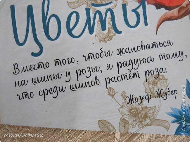 Как раз мое отношение к самоизоляции. Мне она была жизнено неоходима. Тишина, покой, никто никуда не дергает, никаких мыслей в голове, и размеренное разгребание углов в доме и долгов. (фото 11)