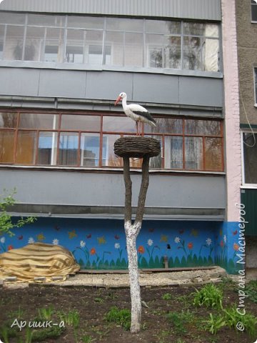 Вообщем целый час я бродила в эйфории и во дворе одного дома наткнулась на аиста. (фото 18)