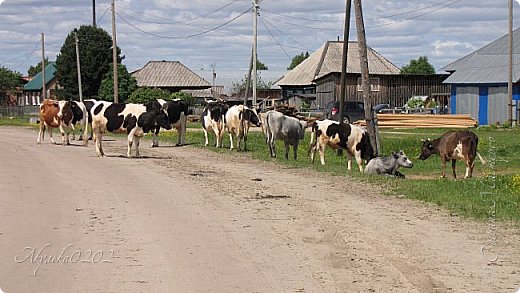 Давайте прогуляемся по моему любимому Белому Яру. Где бы вы не вышли, можно увидеть такую картину (фото 1)