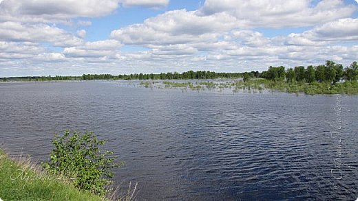 пойма реки в разливе (фото 8)