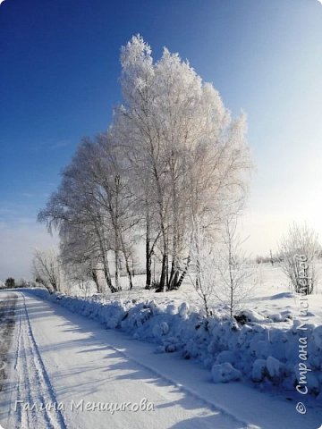 Отпуск- самая пора работать! (фото 6)