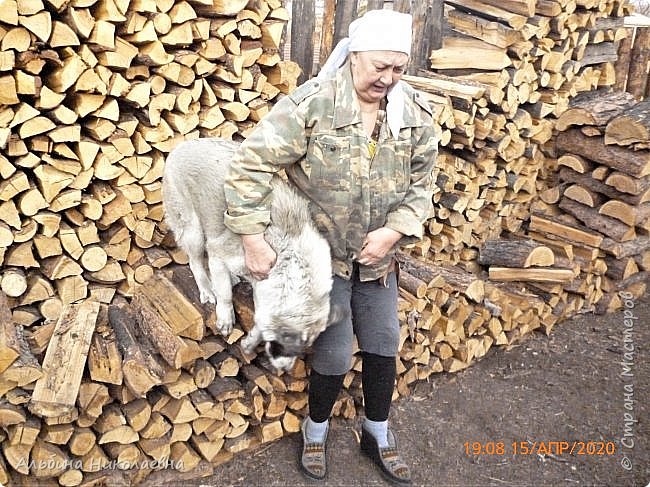 Ну а поленица дров, это гимнастические сооружения у нее, приходится иной раз силой и хитростью ее оттуда снимать (фото 7)