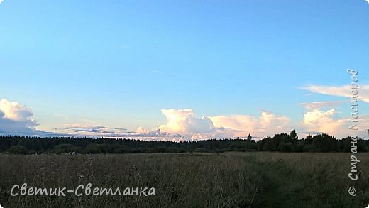  Краски лета. Вот и август! (фото 24)