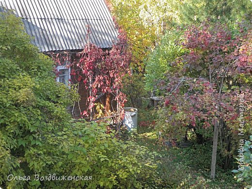 И с каждой осенью я расцветаю вновь;
Здоровью моему полезен русской холод;
К привычкам бытия вновь чувствую любовь:
Чредой слетает сон, чредой находит голод;
Легко и радостно играет в сердце кровь,
Желания кипят — я снова счастлив, молод,
Я снова жизни полн — таков мой организм
(Извольте мне простить ненужный прозаизм).    (Пушкин А.С. (фото 6)