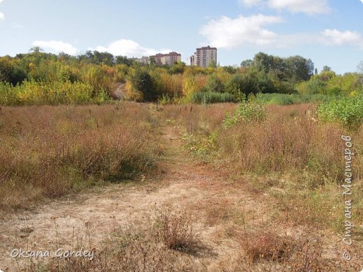 В этом году День города в Воронеже (19-20 сентября) прошел очень скромно. В основном мероприятия проходили в онлайн-формате. В соцсети «ВКонтакте» можно было посетить много квестов, лекций, презентаций, конкурсов, мастер-классов, виртуальных прогулок, концертов и т.д. и т.п. 
Исключение сделали лишь для фестиваля «Русское лето» и празднования 100-летия Военно-воздушной академии г. Воронежа. Поэтому на Адмиралтейской и Советской площадях можно было увидеть авиашоу, на Воронежском водохранилище проходили гонки на байдарках и каноэ, а в Центральном парке (бывшем «Динамо») расположились площадки этнокультурного фестиваля. 
 (фото 1)