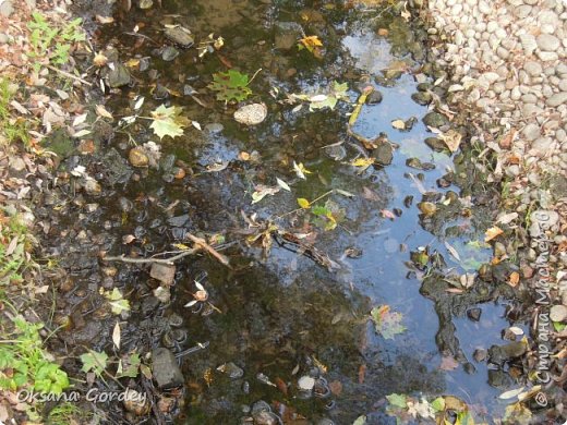 Спустилась к нему поближе. Фото водички устроила. Здесь уже чувствуется осень. (фото 78)