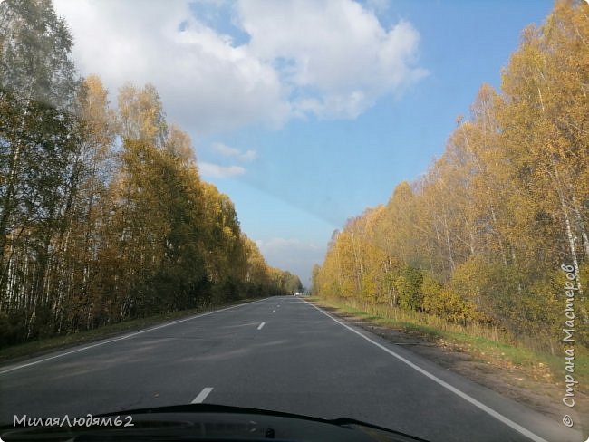 Поехали в город за внучками на выходные. Еще хотела взять фотоаппарат, но зная своего мужа, что остановок на прекрасное не будет, не стала брать. И пожалела. Все равно не вытерпела и достала телефон. (фото 22)