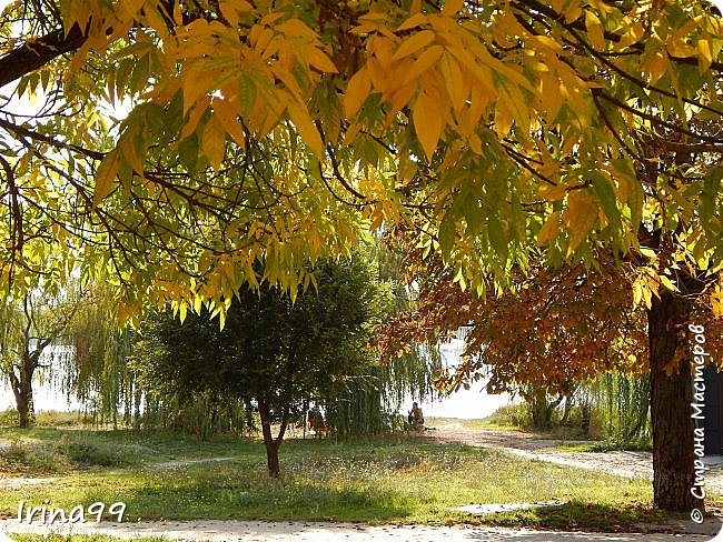 Пусть эта дорожка  чаще  ведёт меня на прогулку...И вы  со мной! (фото 39)