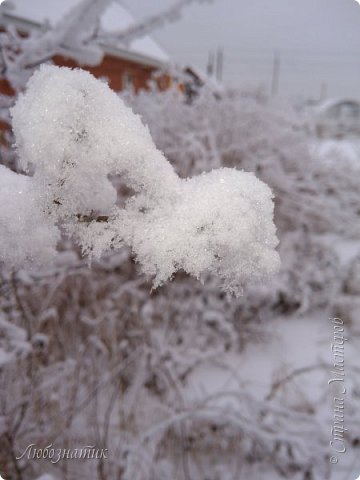 А всё свободное от дел время творить и радоваться! (фото 14)