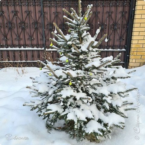 А это мы нарядили елочку перед домом))) Начали мы, а Дед мороз закончил, приворошил пушистым снежком! Красота!!! (фото 16)