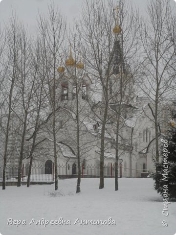 Это он же с центрального входа, ближе мы не походили. (фото 23)