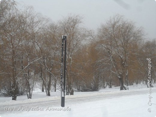 Ивы  и ветлы у пруда, вот только фонари смущают своей конструкцией.(((((( (фото 15)