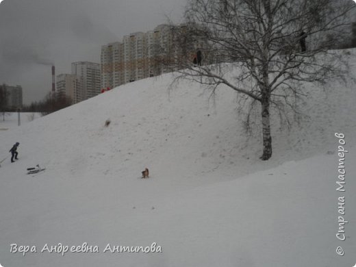 Их у нас много.... Есть лыжные тропы. (фото 8)