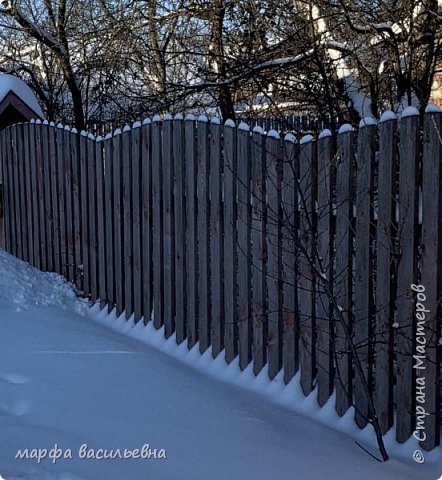 Прогулка по опушке леса.  (фото 27)