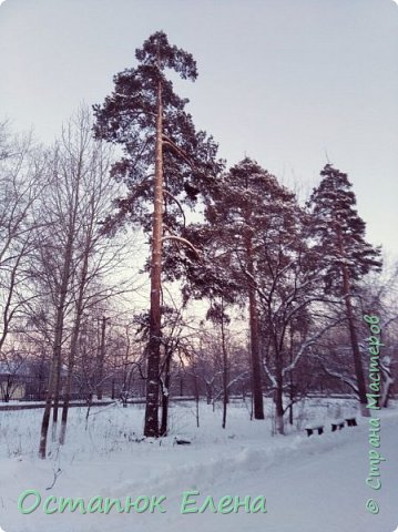 Вот так пробегаешь каждый день мимо такой красоты и ничего не замечаешь. (фото 27)