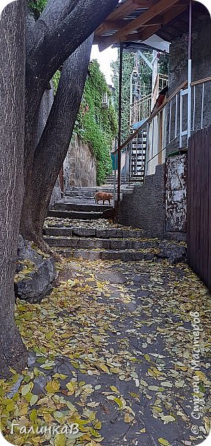 Ну и еще немного фоток города Гурзуф. Многие, наверное там были и согласятся со мной, что Гурзуф необычный город, так не похожий на другие  курорты Крыма. Мне он показался, как из восточной сказки: тихие, узкие, петляющие улочки, ведущие то вверх, то вниз. Каменные лестницы, домики тесно прижавшиеся друг к другу. Мне очень понравился этот уютный городок. (фото 15)