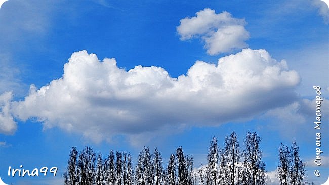 Ну и несколько  фоточек  " для рекламы"...Собираю    природушку для фоторепортажа...и закаты есть и наша просыпающаяся  весна.
Ох и облако...Мне почему  то напомнило  маленького новорожденного  мишку...мордочку его...или   мишку из мультика...
А  что  видите  вы? (фото 22)