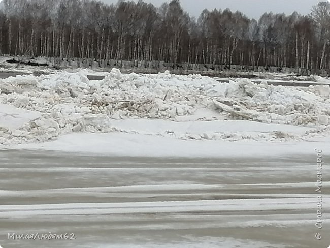 Вот сколько собралось мелких льдин. (фото 77)