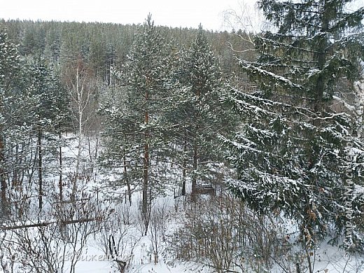 Вот такой у меня вид из окна зимой. Красиво! (фото 10)