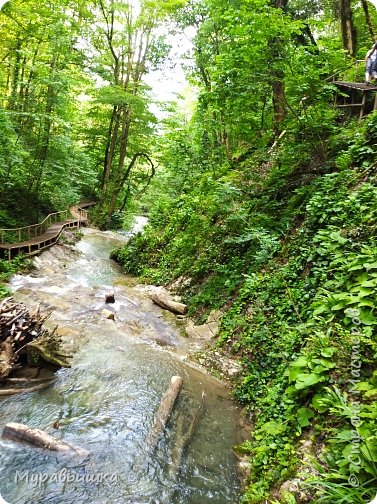 Экскурсия +хвастик + отчет (фото 15)