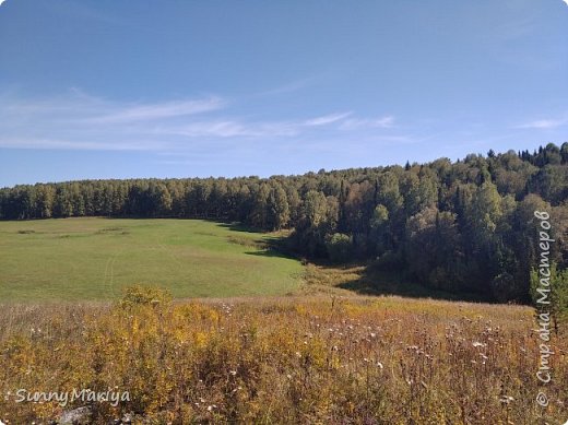 Наши красоты. Я на гору поднимаюсь. Вид сверху на соседний лесок. (фото 13)