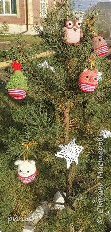 А вот собственно новогодняя сосна посреди красивого сентября! (фото 44)