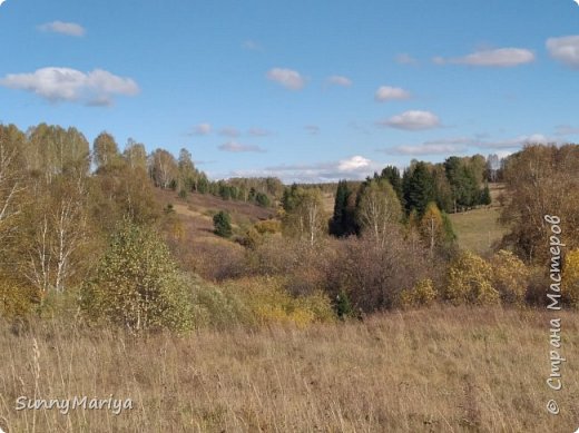 Зелень хвойных украшает))) (фото 6)