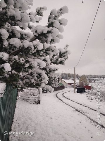 Хорошо нападало снега... (фото 13)