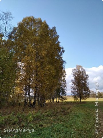 Впереди солнце. Иду туда))) Навстречу солнцу! (фото 28)